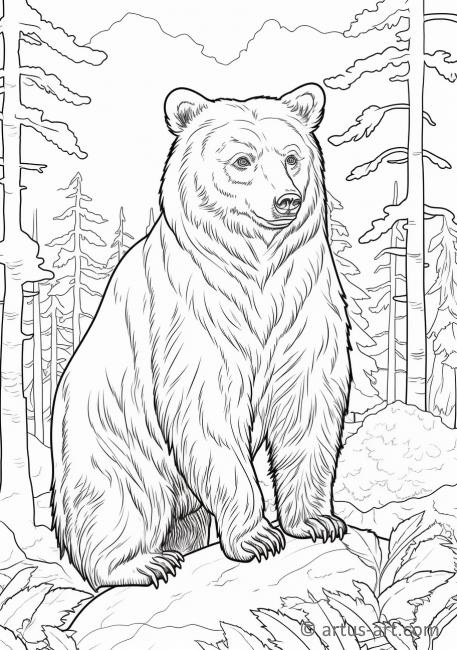 Раскраска с милым медведем